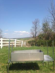 10253846_714049165285226_8584531332015227909_n