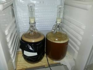 1891505_697760026913712_528293843_o