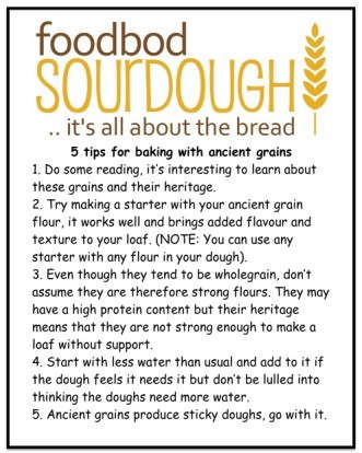 20E59A4F-D4DE-4328-B99C-68A87052A16A_1_201_a