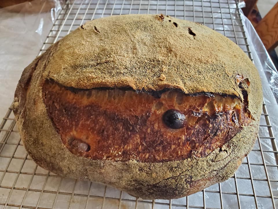 BDE5A5AA-63EB-4106-8353-A2B01BC64AAA