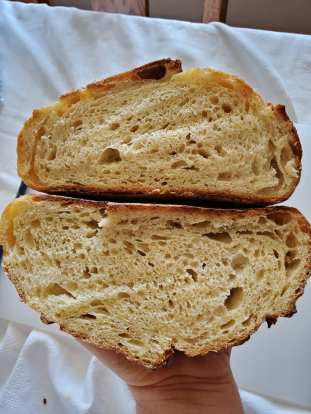 F847ED2B-9D2A-438F-9EED-E9D35B1E0FB2